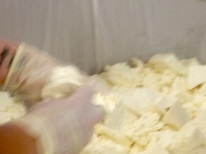 Breaking the curd by hand in the draining table.